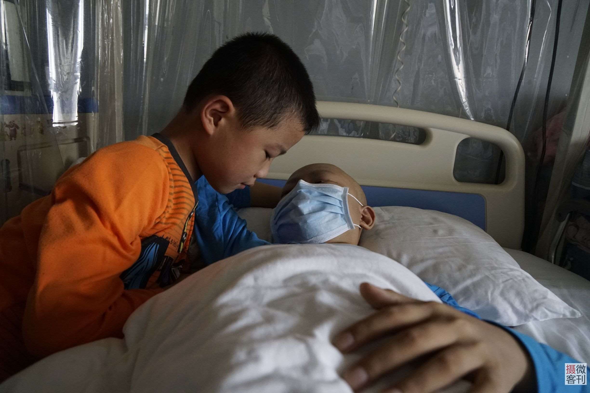 5岁弟弟忍痛抽骨髓救8岁哥哥,究竟是怎么一回事?