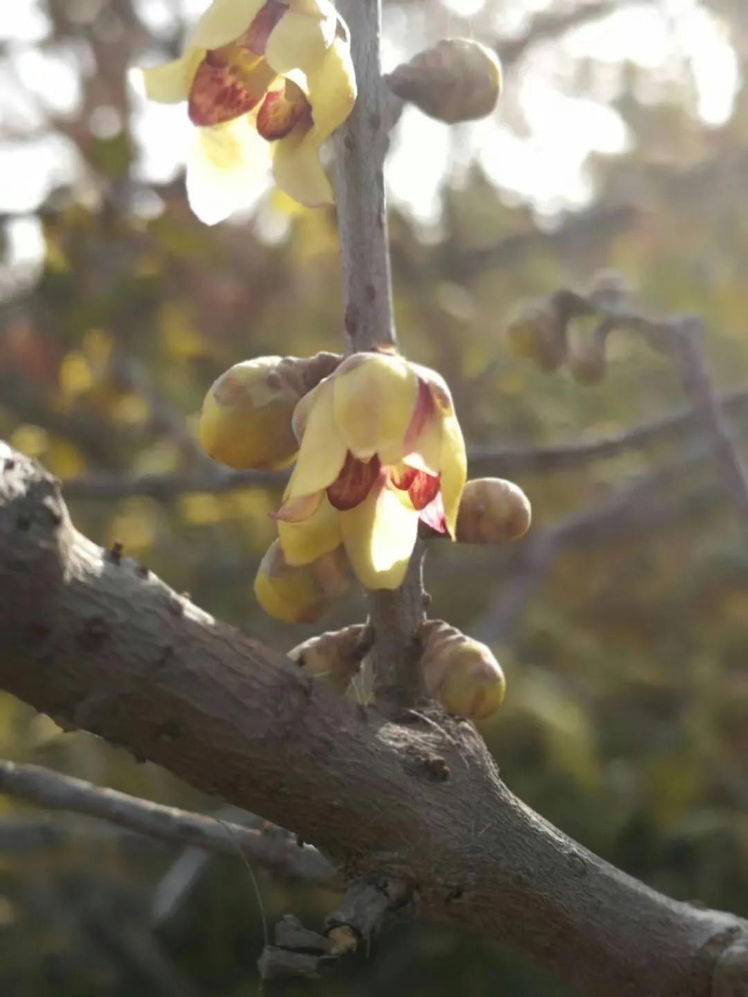 一个很感动一个不敢动,究竟是怎么一回事?