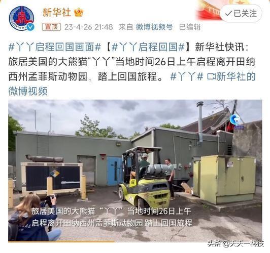 丫丫回国后首次露面,究竟是怎么一回事?