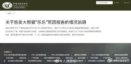 大熊猫乐乐死因报告,究竟是怎么一回事?