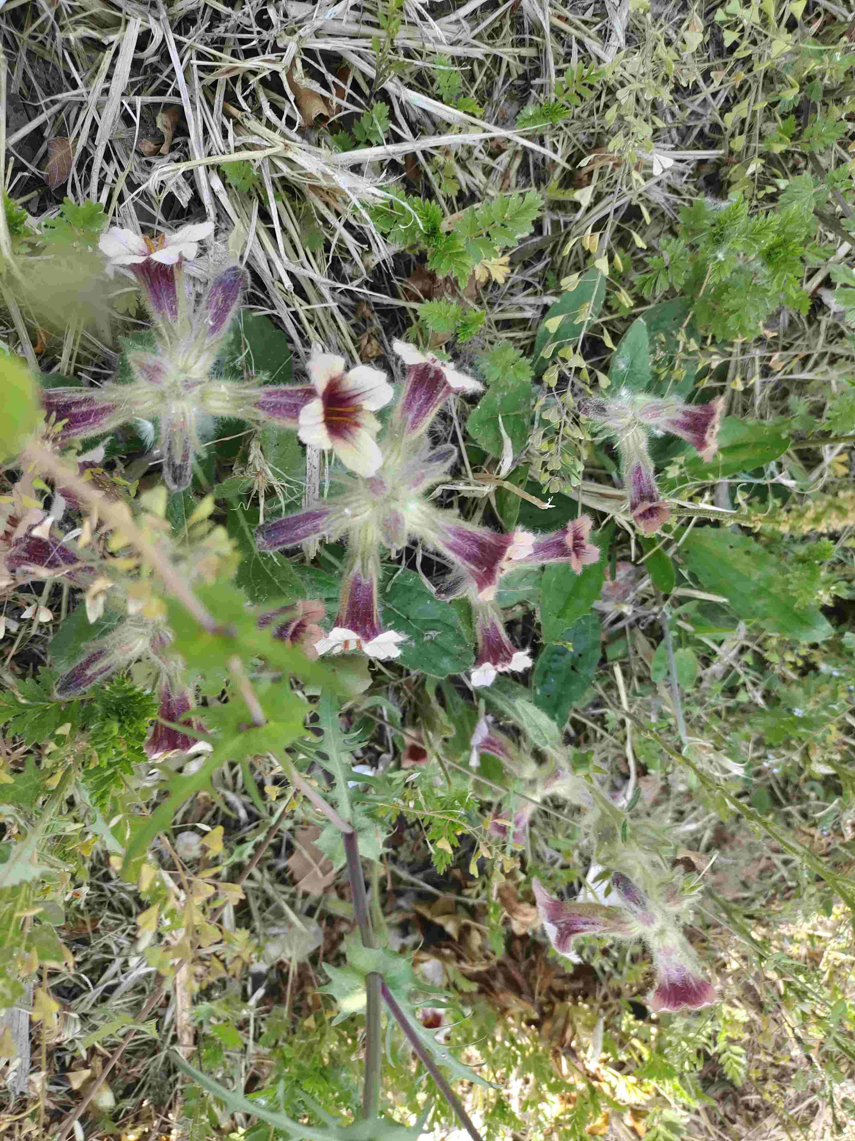 五一假期第1天,究竟是怎么一回事?