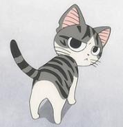 起司猫qq表情包eip格式起司猫qq表情包qq表情大全_在线下载网