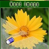 【neat image汉化版】neat image汉化版 官方免费下载_正式版下载-在线下载网