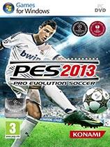 【实况足球2013（Pro Evolution Soccer 2013）王涛中文解说补丁】实况足球2013（Pro Evolution Soccer 2013）王涛中文解说补丁 官方免费下载_正式版下载-在线下载网