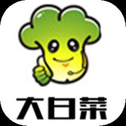 【大白菜u盘启动装机版】大白菜u盘启动装机版 官方免费下载_正式版下载-在线下载网