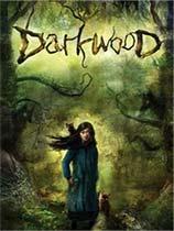 【阴暗森林（Darkwood）v4.0两项修改器MrAntiFun版】阴暗森林（Darkwood）v4.0两项修改器MrAntiFun版 官方免费下载_正式版下载-在线下载网