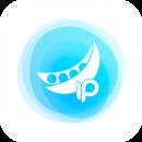 【豌豆代理电脑版】豌豆代理电脑版 官方免费下载_正式版下载-在线下载网