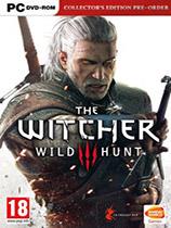 【巫师3：狂猎（The Witcher 3: Wild Hunt）v1.31剑油不减MOD】巫师3：狂猎（The Witcher 3: Wild Hunt）v1.31剑油不减MOD 官方免费下载_正式版下载-在线下载网