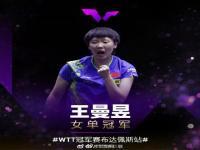 王曼昱 WTT,究竟是怎么一回事?_在线下载网资讯