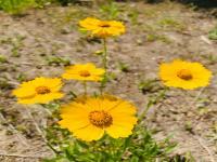 专家建议去旅游度假城市买房,究竟是怎么一回事?