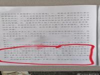 车顶维权女车主再现上海车展,究竟是怎么一回事?