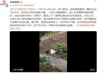 女子坐奔驰下乡顺走一只鸭