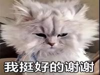 看起来体面但工资低的工作,究竟是怎么一回事?