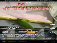 女生寝室现巨拟叶螽,究竟是怎么一回事?