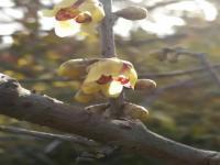 一个很感动一个不敢动,究竟是怎么一回事?