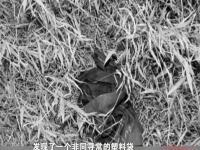 广州商铺发现尸体是一流浪汉,究竟是怎么一回事?