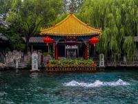 五一假期去山东畅快吃,究竟是怎么一回事?