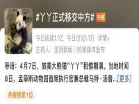 丫丫将落地上海,究竟是怎么一回事?