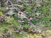 五一假期第1天,究竟是怎么一回事?