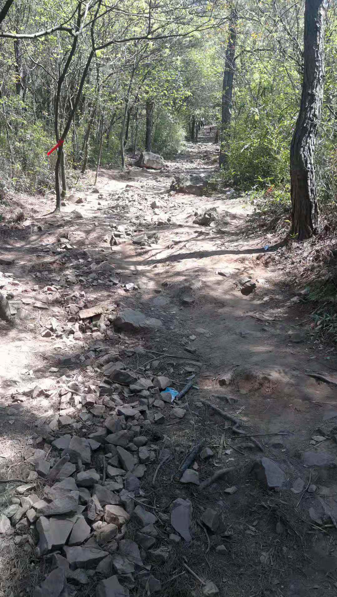 苏州绝望坡有多火爆,究竟是怎么一回事?