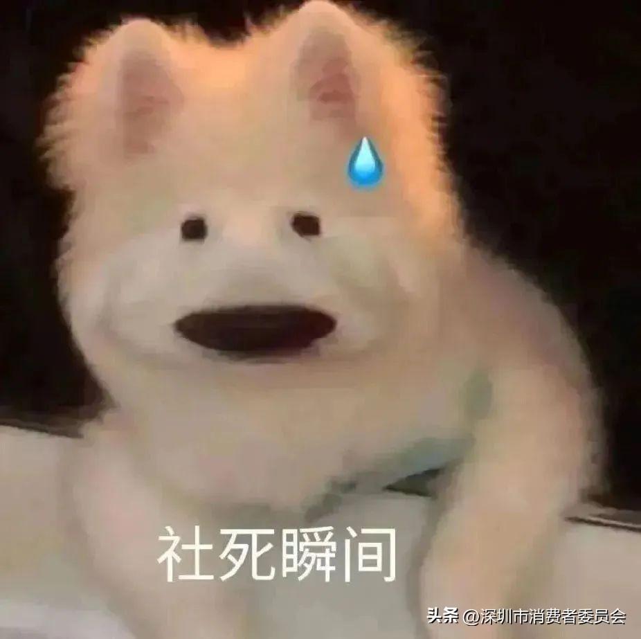 吃自助偷打包后续,究竟是怎么一回事?