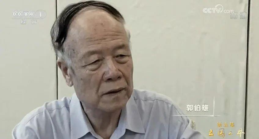 军报连续发文,点名郭伯雄、徐才厚、房峰辉、张阳“四虎”