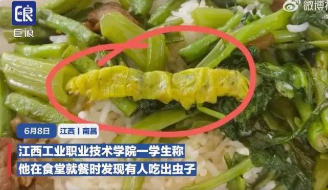 江西一高校食堂吃出异物后，又有学生称吃出大青虫 背后食堂承包商曝光