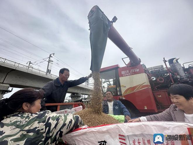 河南虞城一面粉厂被指拒收今年新麦 官方发布情况说明