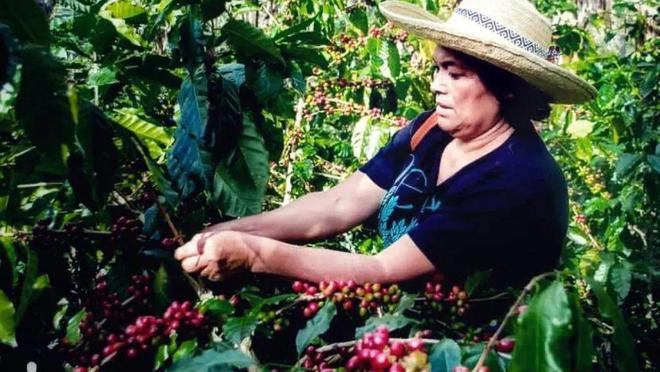 洪都拉斯总统抵达北京 三军仪仗队在机场举行欢迎仪式