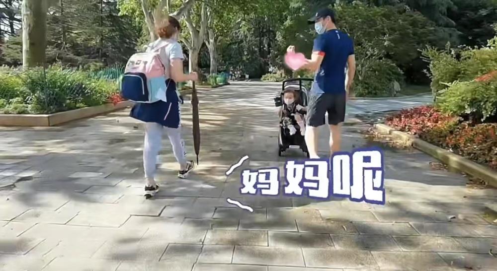 知情人曝苗苗诞下三胎，是剖腹产已经出院，老公郑恺全程低调陪同