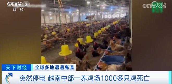 电力告急，佳能等企业轮流停电！1亿居民或面临全国停电时隔7年，我国重启对这国送电