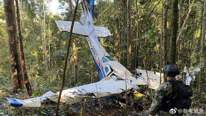 4名儿童坠机40天后生还:姐姐带领弟妹摘果求生,母亲的嘱托成为动力