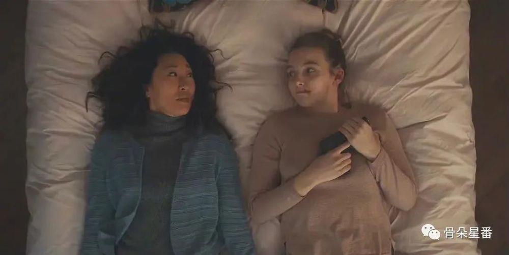 2023年了,红白玫瑰设定还流行吗?