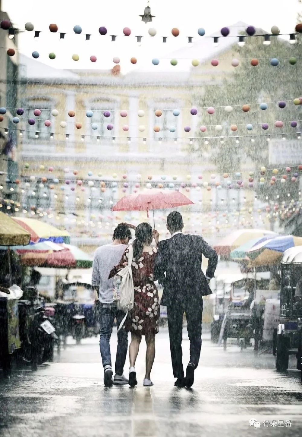 2023年了,红白玫瑰设定还流行吗?