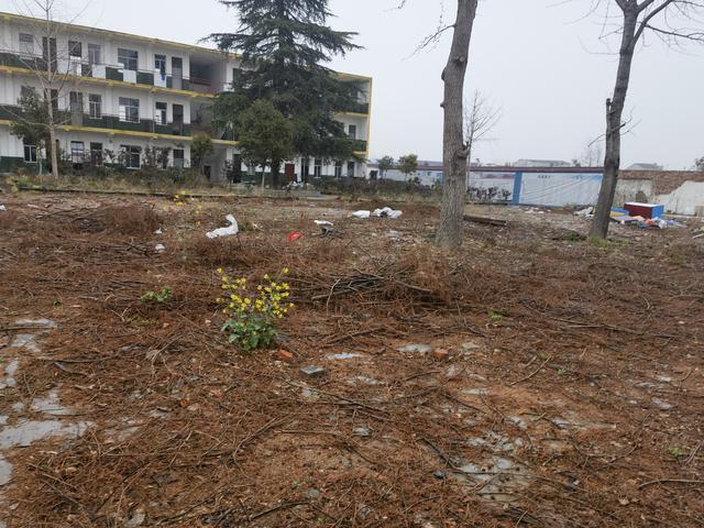 湖北随县博爱特校性侵案调查