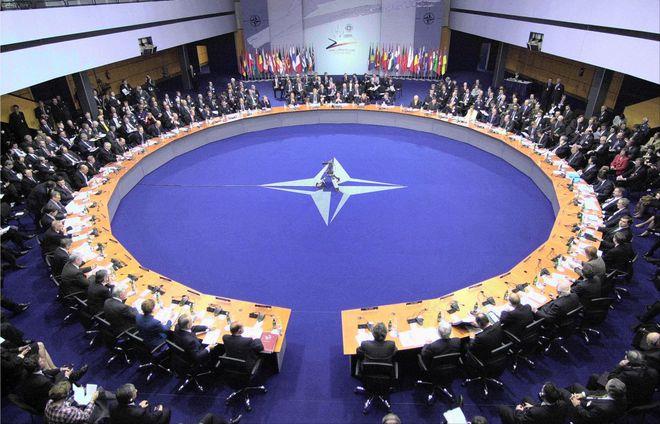 国际识局:敦促乌克兰加入北约?欧洲议会这一决议不寻常!