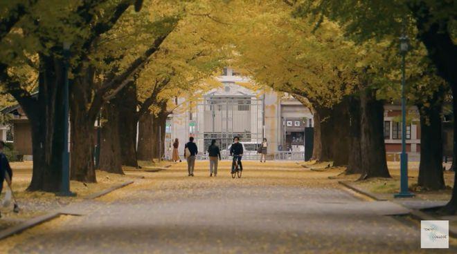 马云亮相日本，在东京大学教书：讲了2小时，超50名同学参加！他曾称：希望能重回学校当老师