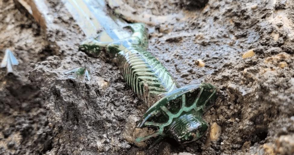 德国发现3000年前青铜剑，出土时“几乎还在发光”