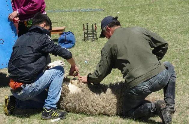 65寸平板大彩电折价不如5元的鼠标，羊毛党盯上家电以旧换新