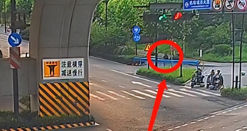 男子杭州绿化带迷路3天，吃野花求生，网友：遇到鬼打墙了？