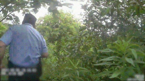 男子杭州绿化带迷路3天，吃野花求生，网友：遇到鬼打墙了？