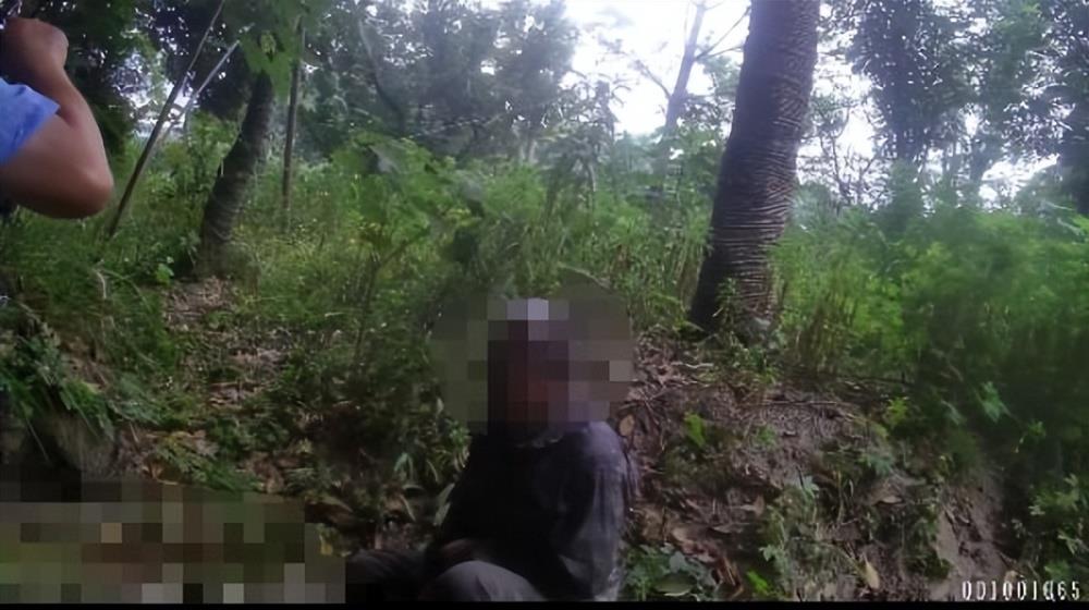 男子杭州绿化带迷路3天，吃野花求生，网友：遇到鬼打墙了？