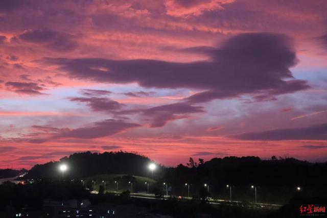 12岁儿子坠楼后，经济学家宋清辉困在“迷宫”里