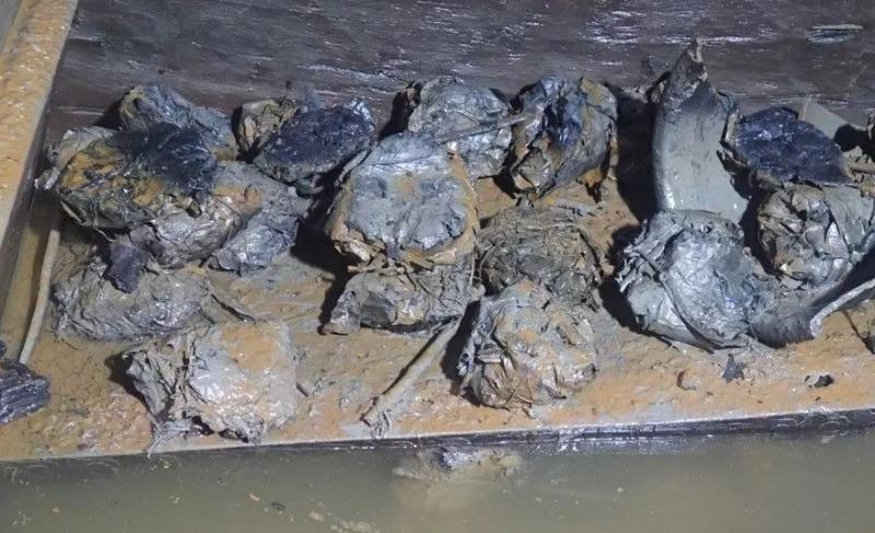 2000多年前的粽子原来长这样！