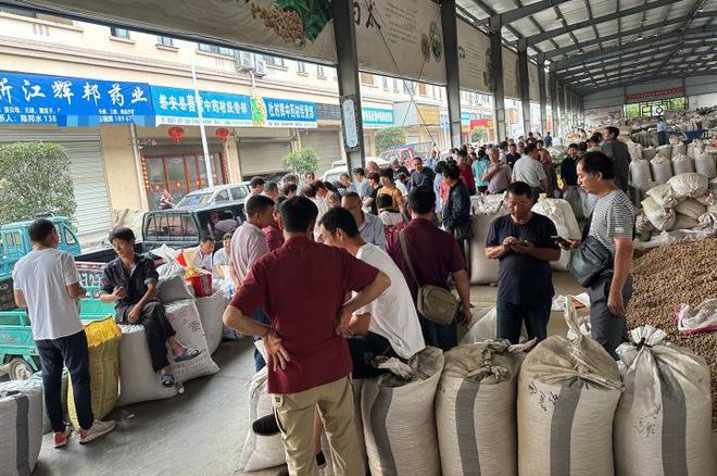 业内称中药材涨幅之大40年未遇，浙江金华一药农卖元胡10分钟赚52万元