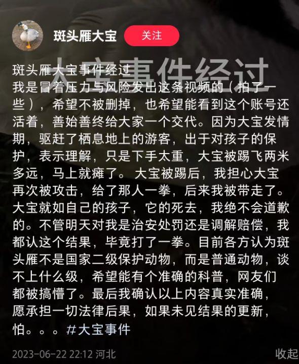 网红大雁被游客一脚踢死，错的是谁？