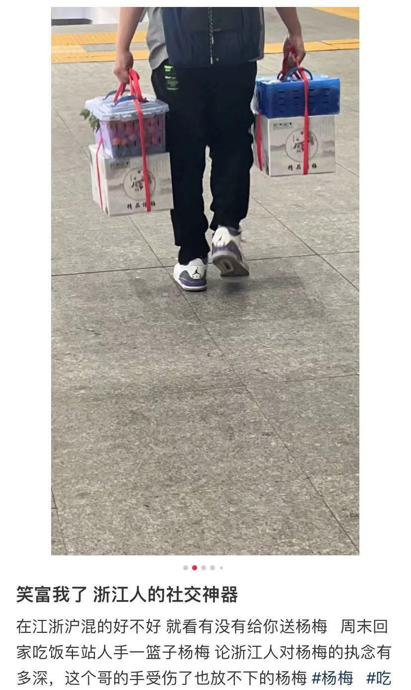 中国水果大省哪家强：浙江杨梅产值或超50亿，河南西瓜产量居首