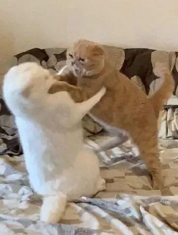 太离谱！上海90后快递员恋上70后女客户，怀疑女方“出轨”，深夜携刀入室