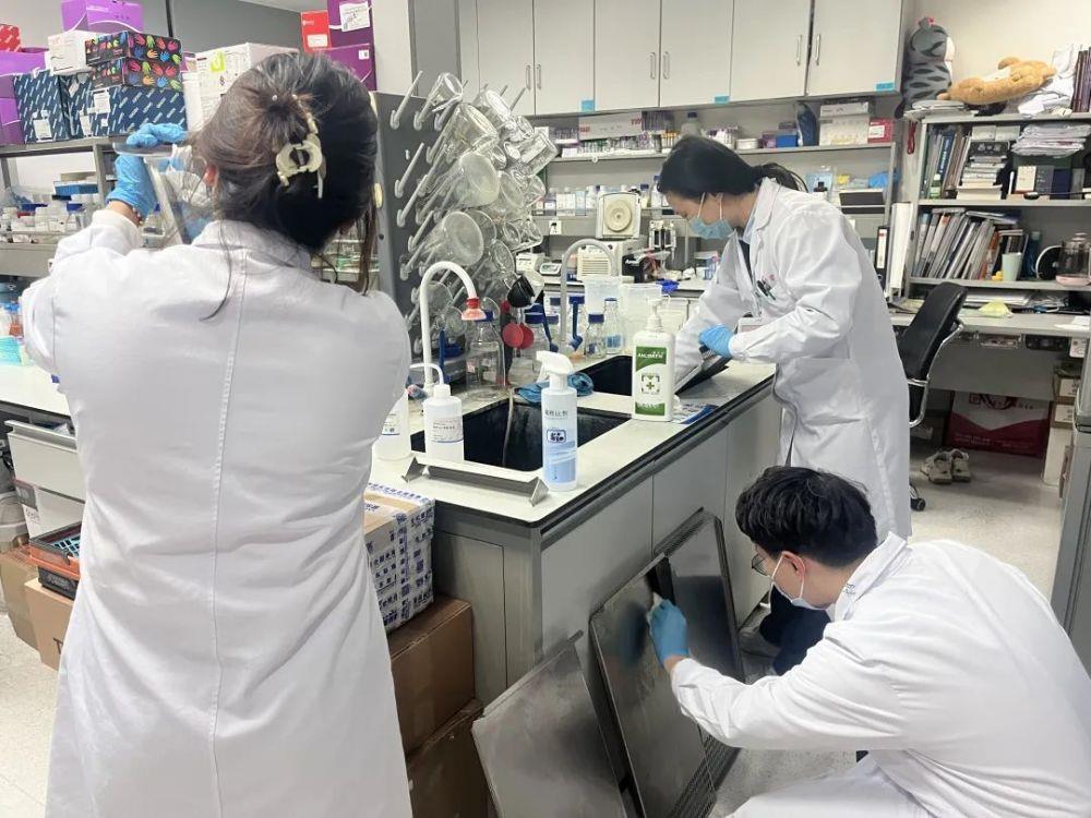 张文宏团队长达一年随访两万多感染者，揭示“长新冠”临床异质性现象