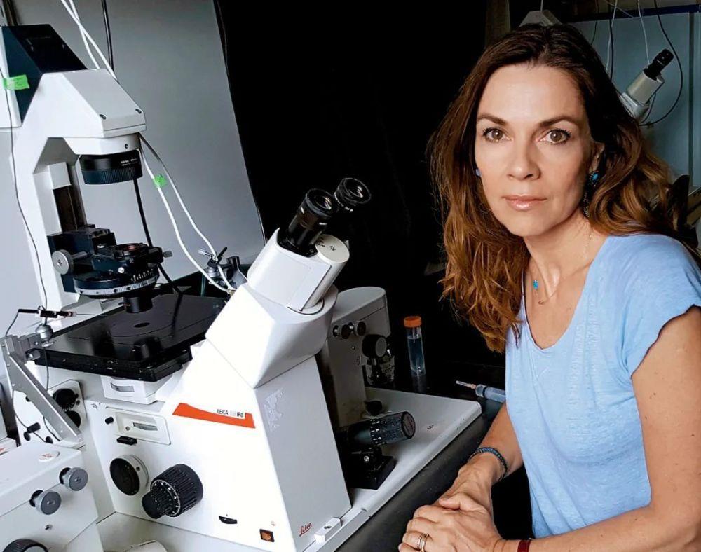 重磅！首个完整的人类胚胎模型已活到14天，相关政策法规必须快速追上